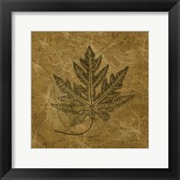 Leaves of Summer Fine Art Print