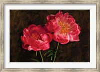 Romance Fine Art Print