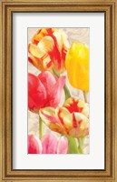 Glowing Tulips I Fine Art Print