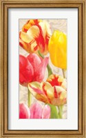 Glowing Tulips I Fine Art Print