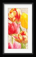 Glowing Tulips I Framed Print
