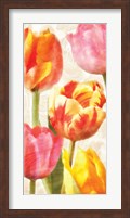 Glowing Tulips II Fine Art Print