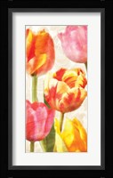 Glowing Tulips II Framed Print