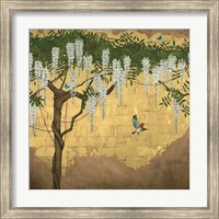 Wisteria with House Finch Fine Art Print
