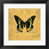 Butterfly on Gold Fine Art Print