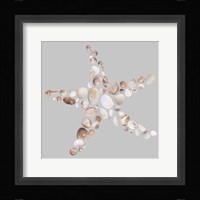 Starfish Fine Art Print