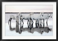 Calm Waters Fine Art Print