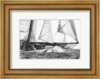 Free Sailing Fine Art Print