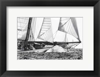 Free Sailing Fine Art Print