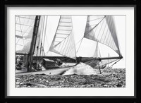 Free Sailing Fine Art Print