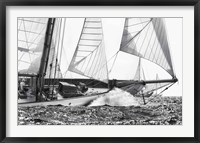 Free Sailing Fine Art Print