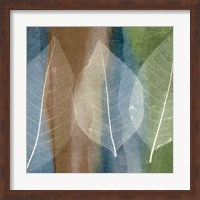 Leaf Structure II Fine Art Print