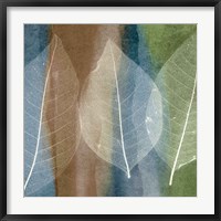 Leaf Structure II Fine Art Print