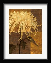 Golden Mums I Fine Art Print