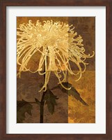 Golden Mums I Fine Art Print