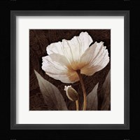Paisley Poppy I Framed Print