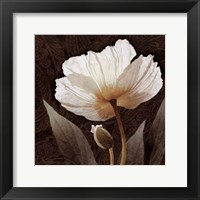 Paisley Poppy I Framed Print