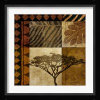 Acacia Sunrise I Fine Art Print