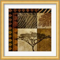 Acacia Sunrise I Fine Art Print