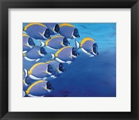 Serenely, Beautifully Fine Art Print