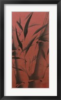 Bamboo's Calm Framed Print