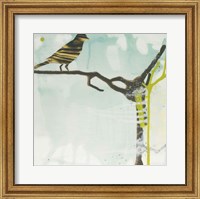 Early Bird Fine Art Print