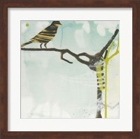 Early Bird Fine Art Print