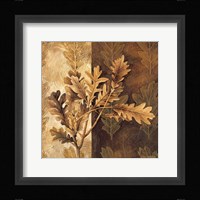 Leaf Patterns I Fine Art Print