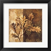 Leaf Patterns I Framed Print
