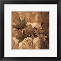 Leaf Patterns II Framed Print