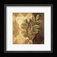 Leaf Patterns IV Fine Art Print