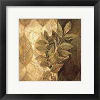 Leaf Patterns IV Framed Print