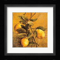 Lemon Branch Fine Art Print
