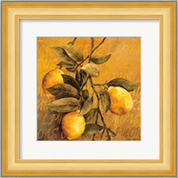 Lemon Branch Fine Art Print