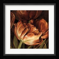 Color Harmony II Fine Art Print