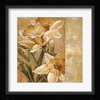 Champagne Daffodils I Fine Art Print