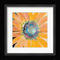 Sunshine Flower IV Fine Art Print