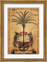 Sunset Palm Fine Art Print