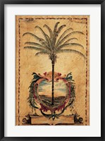 Sunset Palm Fine Art Print