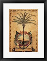 Sunset Palm Framed Print