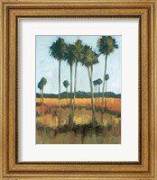 Tall Palms II Fine Art Print