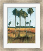 Tall Palms II Fine Art Print