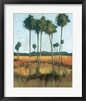 Tall Palms II Framed Print