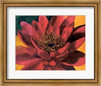 Red Water Lily Fine Art Print