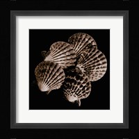 Cinq ventails Fine Art Print