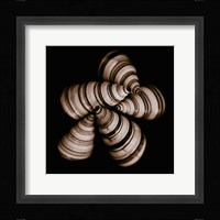 Focus Fine Art Print