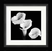 Sisters Fine Art Print