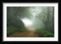 Road to Nowhere Fine Art Print