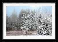 Frosty Morning Fine Art Print