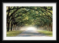 Hope And Glory Fine Art Print